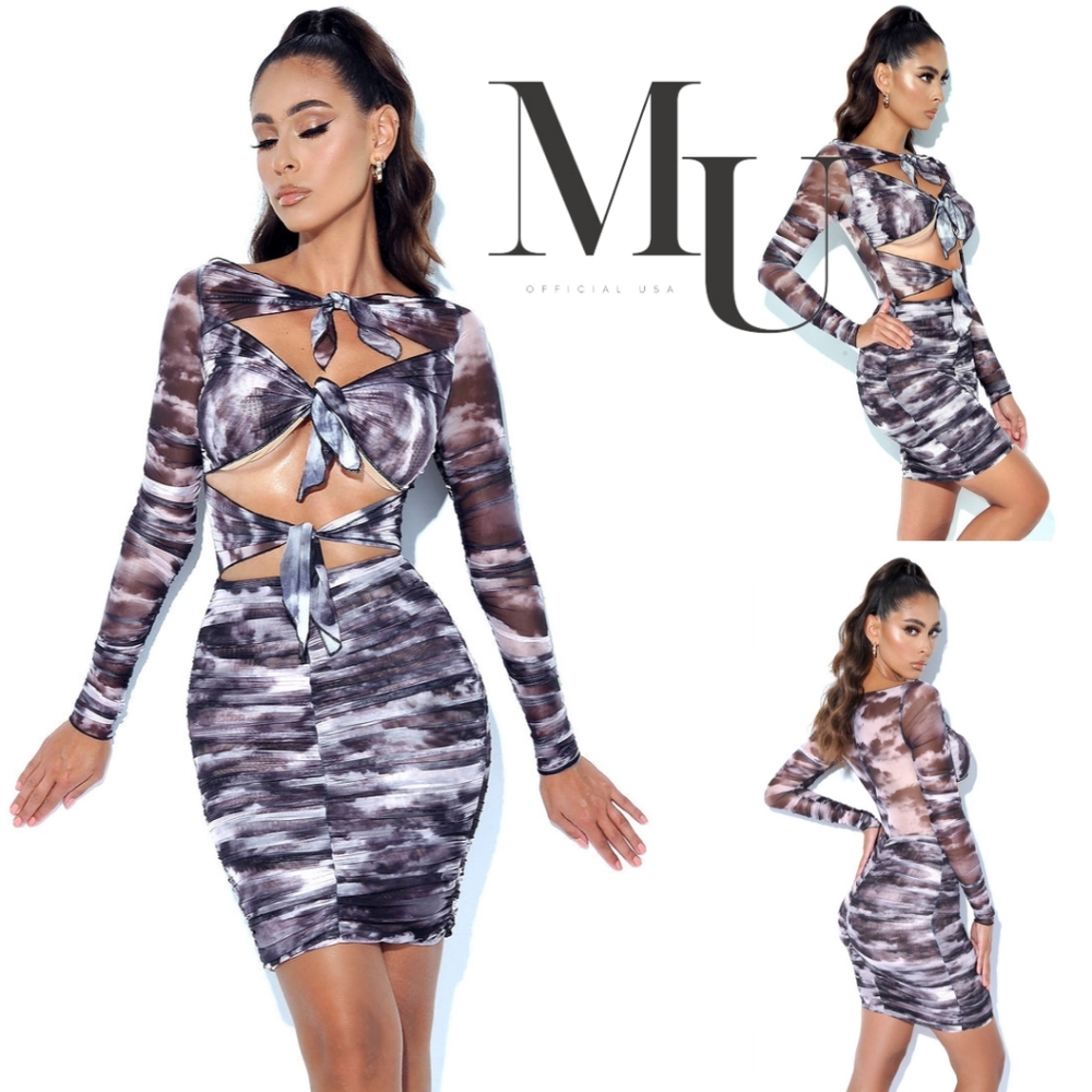🖤Sonia Grey Print Mesh Long Sleeve Dress🤍